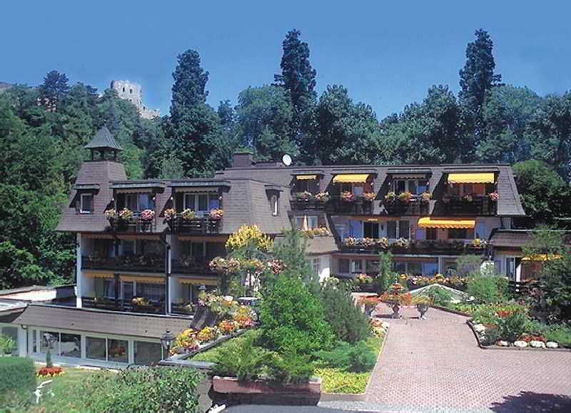 Hotel Ritter Badenweiler Olanaklar fotoğraf